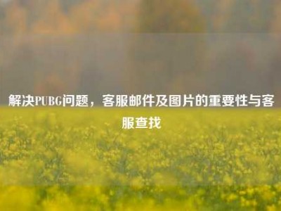 解决PUBG问题，客服邮件及图片的重要性与客服查找