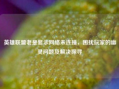 英雄联盟老是显示网络未连接，困扰玩家的幽灵问题及解决探寻