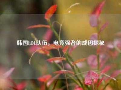 韩国LOL队伍，电竞强者的成因探秘