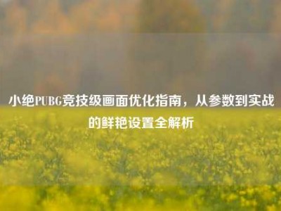 小绝PUBG竞技级画面优化指南，从参数到实战的鲜艳设置全解析