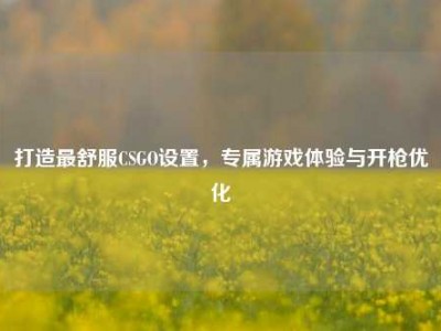 打造最舒服CSGO设置，专属游戏体验与开枪优化