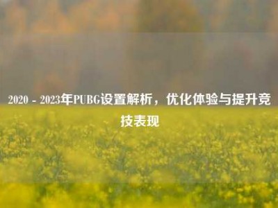 2020 - 2023年PUBG设置解析，优化体验与提升竞技表现