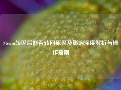 Steam转区后能否转回原区及影响深度解析与操作指南