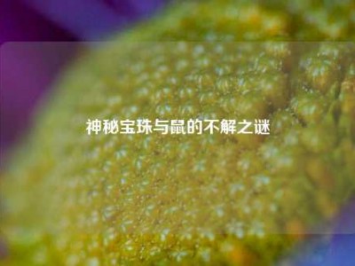 神秘宝珠与鼠的不解之谜