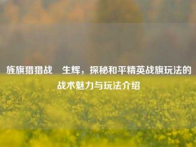旌旗猎猎战場生辉，探秘和平精英战旗玩法的战术魅力与玩法介绍