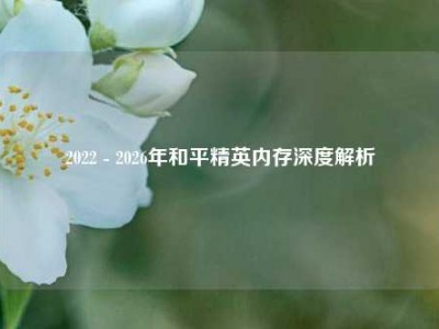 2022 - 2026年和平精英内存深度解析