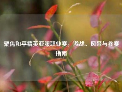聚焦和平精英亚服职业赛，激战、风采与参赛指南