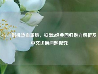 Steam街机热血重燃，铁拳5经典回归魅力解析及中文切换问题探究