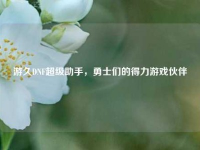 游久DNF超级助手，勇士们的得力游戏伙伴
