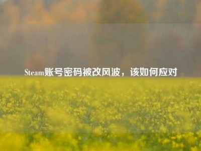 Steam账号密码被改风波，该如何应对