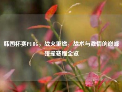 韩国杯赛PUBG，战火重燃，战术与激情的巅峰碰撞赛程全览