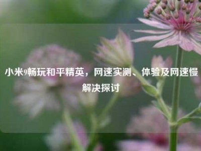 小米9畅玩和平精英，网速实测、体验及网速慢解决探讨