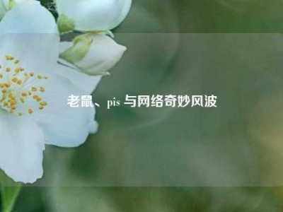 老鼠、pis 与网络奇妙风波