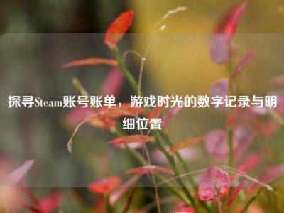 探寻Steam账号账单，游戏时光的数字记录与明细位置
