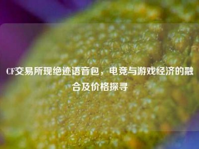 CF交易所现绝迹语音包，电竞与游戏经济的融合及价格探寻