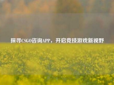 探寻CSGO咨询APP，开启竞技游戏新视野