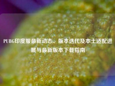 PUBG印度服最新动态、版本迭代及本土适配进展与最新版本下载指南
