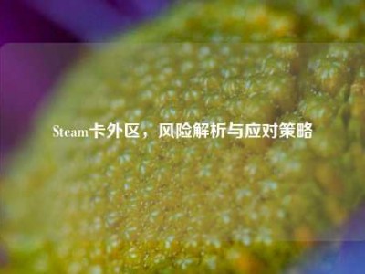 Steam卡外区，风险解析与应对策略