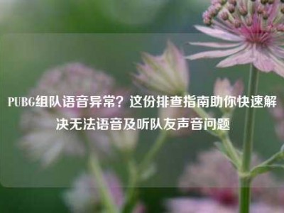 PUBG组队语音异常？这份排查指南助你快速解决无法语音及听队友声音问题