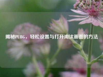 揭秘PUBG，轻松设置与打开淘汰画面的方法