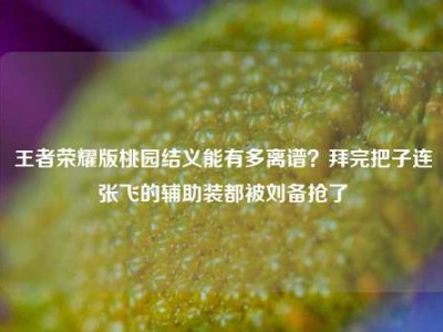 王者荣耀版桃园结义能有多离谱？拜完把子连张飞的辅助装都被刘备抢了