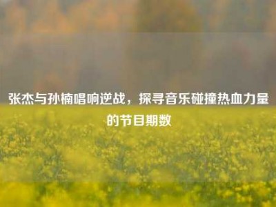 张杰与孙楠唱响逆战，探寻音乐碰撞热血力量的节目期数
