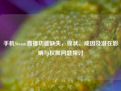 手机Steam直播功能缺失，现状、成因及潜在影响与权限问题探讨