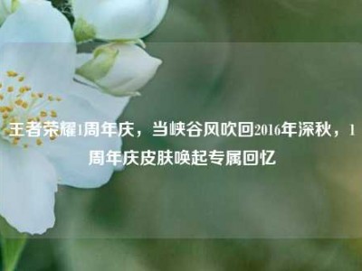 王者荣耀1周年庆，当峡谷风吹回2016年深秋，1周年庆皮肤唤起专属回忆