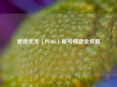绝地求生（PUBG）账号绑定全攻略