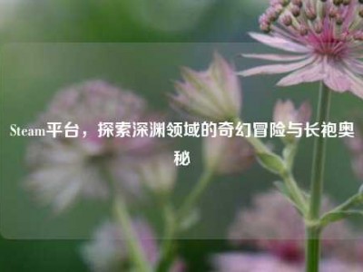 Steam平台，探索深渊领域的奇幻冒险与长袍奥秘
