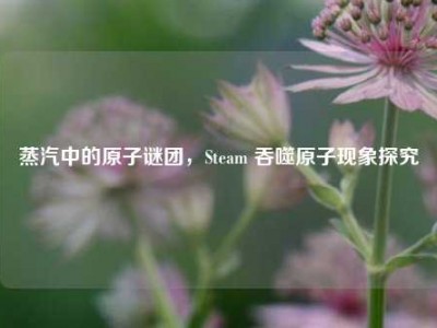 蒸汽中的原子谜团，Steam 吞噬原子现象探究
