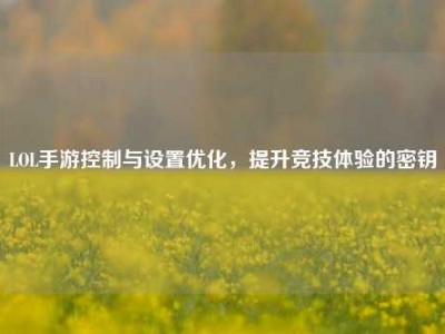 LOL手游控制与设置优化，提升竞技体验的密钥