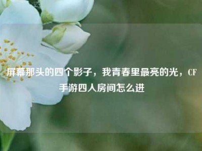 屏幕那头的四个影子，我青春里最亮的光，CF手游四人房间怎么进