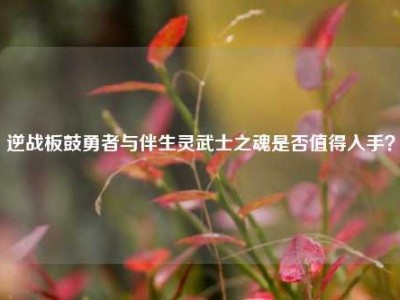 逆战板鼓勇者与伴生灵武士之魂是否值得入手？
