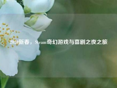 2020新春，Steam奇幻游戏与喜剧之夜之旅