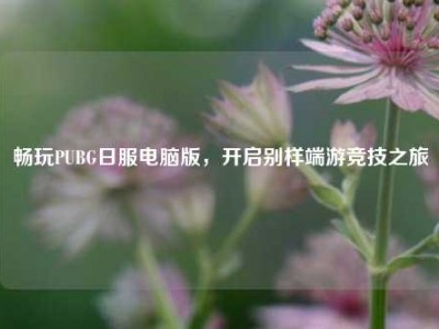 畅玩PUBG日服电脑版，开启别样端游竞技之旅