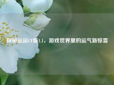 探秘运运CF版1.1，游戏世界里的运气新惊喜