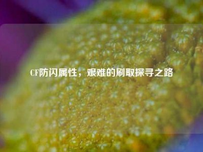 CF防闪属性，艰难的刷取探寻之路