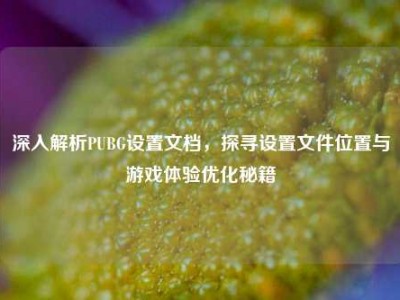 深入解析PUBG设置文档，探寻设置文件位置与游戏体验优化秘籍