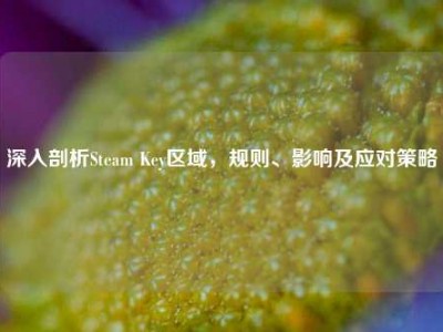 深入剖析Steam Key区域，规则、影响及应对策略