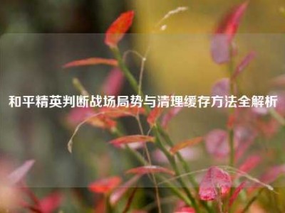 和平精英判断战场局势与清理缓存方法全解析