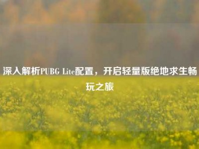 深入解析PUBG Lite配置，开启轻量版绝地求生畅玩之旅