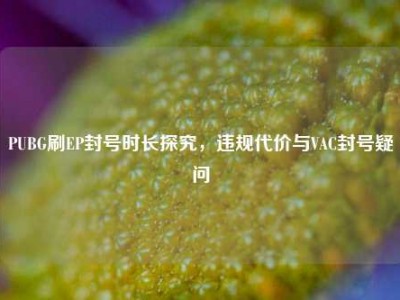 PUBG刷EP封号时长探究，违规代价与VAC封号疑问