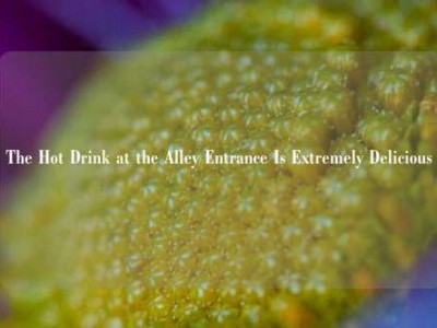 The Hot Drink at the Alley Entrance Is Extremely Delicious