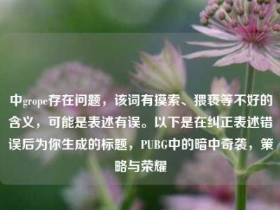 中grope存在问题，该词有摸索、猥亵等不好的含义，可能是表述有误。以下是在纠正表述错误后为你生成的标题，PUBG中的暗中奇袭，策略与荣耀