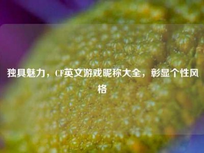 独具魅力，CF英文游戏昵称大全，彰显个性风格