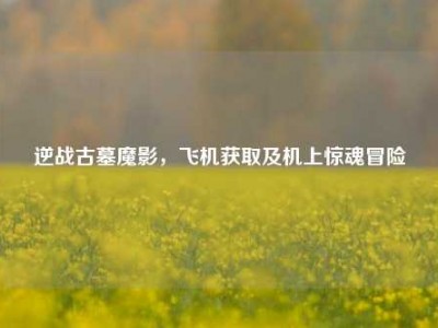 逆战古墓魔影，飞机获取及机上惊魂冒险