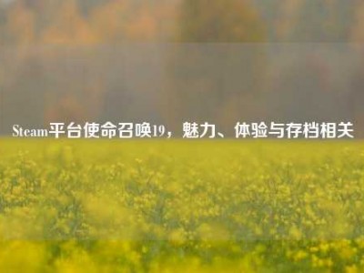 Steam平台使命召唤19，魅力、体验与存档相关