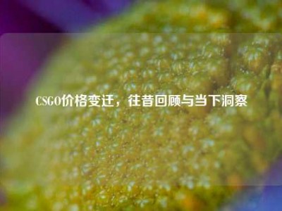 CSGO价格变迁，往昔回顾与当下洞察