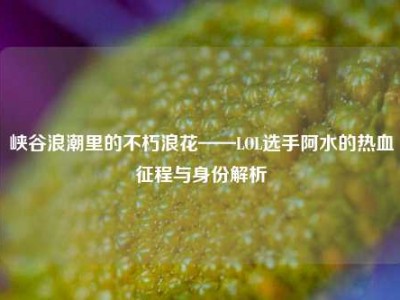 峡谷浪潮里的不朽浪花——LOL选手阿水的热血征程与身份解析
